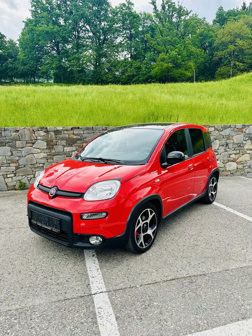 Fiat Panda 4x2 FireFly Hybrid 70 Sport - 1