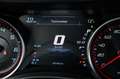 Dodge Charger 6,4 SCAT PACK ORIGINAL WIDEBODY LED Grau - thumbnail 33