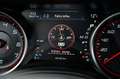 Dodge Charger 6,4 SCAT PACK ORIGINAL WIDEBODY LED Grau - thumbnail 34