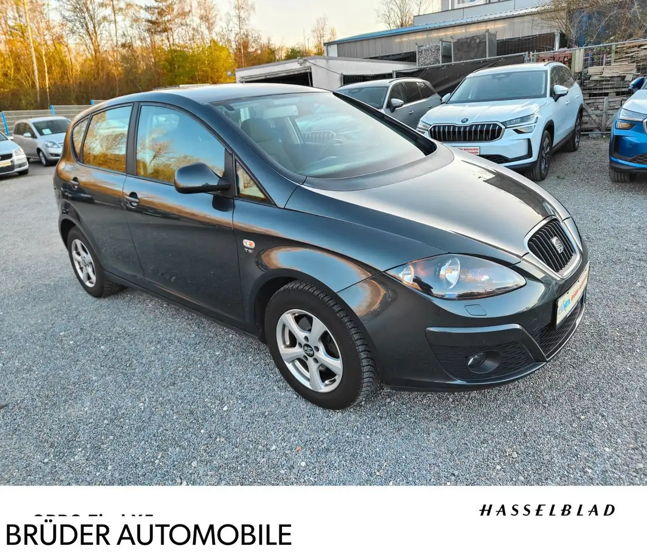 SEAT Altea Stylance / Style "Klima "AHK "NEU TÜV Grau - 1