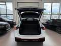 Volkswagen Tiguan 2.0 TDI DSG R-Line AID/MATRIX/360°/AHK Blanco - thumbnail 6