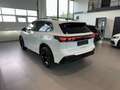 Volkswagen Tiguan 2.0 TDI DSG R-Line AID/MATRIX/360°/AHK Blanco - thumbnail 4