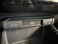 Kia e-Niro Niro EV Long Range 64kWh Gold Aut. Schwarz - thumbnail 22