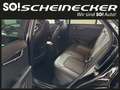 Kia e-Niro Niro EV Long Range 64kWh Gold Aut. Schwarz - thumbnail 9