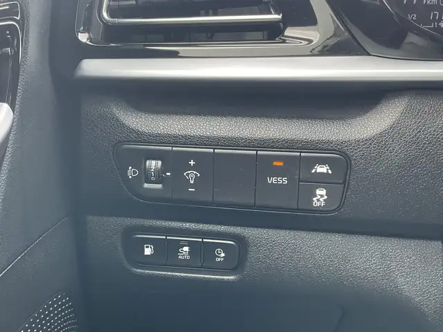 Kia Niro view 16