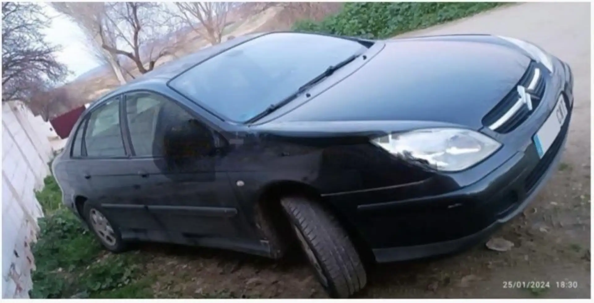 Citroen C5 2.0HDI Vivace Gris - 2