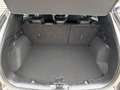 Ford Kuga ST-Line X AWD Grau - thumbnail 5