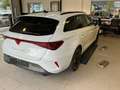 CUPRA Leon Sportstourer 1.5 eTSI DSG Navi Kamera Kessy Weiß - thumbnail 4