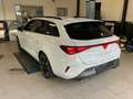 CUPRA Leon Sportstourer 1.5 eTSI DSG Navi Kamera Kessy Weiß - thumbnail 5