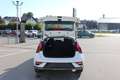 Hyundai BAYON FL (MY25) 1.0 T-GDI (100PS) 7-DCT 2WD Trend, Bose Biały - thumbnail 6