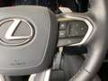 Lexus RX 450h RX 450 h+ E-FOUR Executive Line *Technolo+Panora* Verde - thumbnail 14
