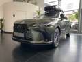 Lexus RX 450h RX 450 h+ E-FOUR Executive Line *Technolo+Panora* Zelená - thumbnail 1