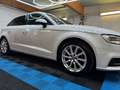 Audi A3 SB 2,0 TDI quattro intense in Gletscherweiss - thumbnail 8