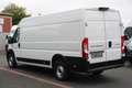 Peugeot Boxer 35 L4H2 140 *neuModell*360°PDC*Kamera*Holz Weiß - thumbnail 10