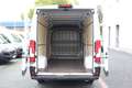 Peugeot Boxer 35 L4H2 140 *neuModell*360°PDC*Kamera*Holz Weiß - thumbnail 4