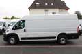 Peugeot Boxer 35 L4H2 140 *neuModell*360°PDC*Kamera*Holz Weiß - thumbnail 9