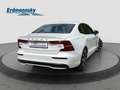 Volvo S60 B4 Plus Dark/Leder/Navi/Pano/Standhz/20Zoll Klima Weiß - thumbnail 4