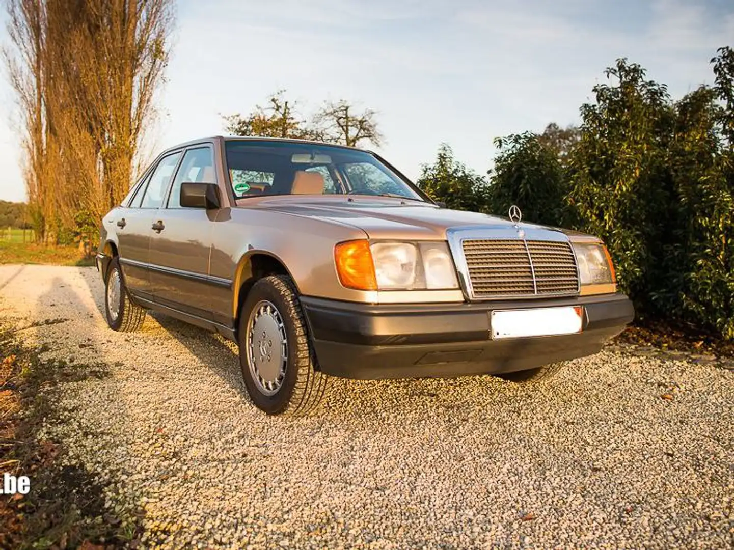 Mercedes-Benz E 300 Złoty - 2