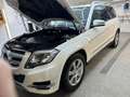 Mercedes-Benz GLK 220 GLK 220 CDI BlueEfficiency A-Edition Aut. A-Edition Weiß - thumbnail 22
