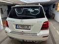 Mercedes-Benz GLK 220 GLK 220 CDI BlueEfficiency A-Edition Aut. A-Edition Weiß - thumbnail 7