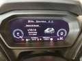 Audi 40 e-tron S line Matrix-LED Navi HuD DAB Pano Grau - thumbnail 10