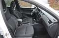 Skoda Octavia Octavia Combi RS 2,0 TDI 4x4 DSG RS Pano AHK Weiß - thumbnail 18