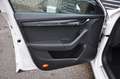 Skoda Octavia Octavia Combi RS 2,0 TDI 4x4 DSG RS Pano AHK Weiß - thumbnail 11