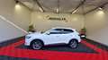 MG EHS PHEV LUXURY MY24 Blanc - thumbnail 8