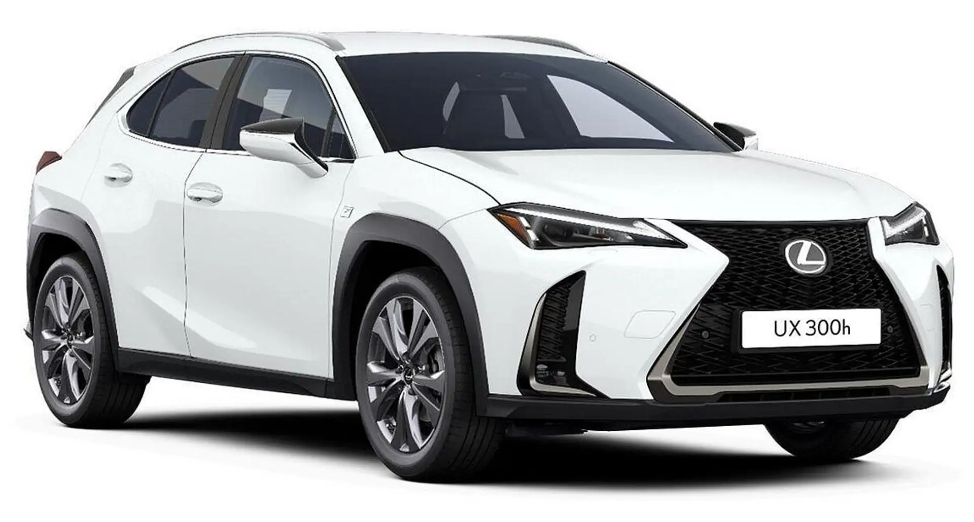 Lexus UX 300h UX300h F-SPORT DESIGN *Sonderedition* Bílá - 1