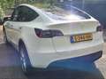 Tesla Model Y Model Y Long Range 75 kWh Blanc - thumbnail 12