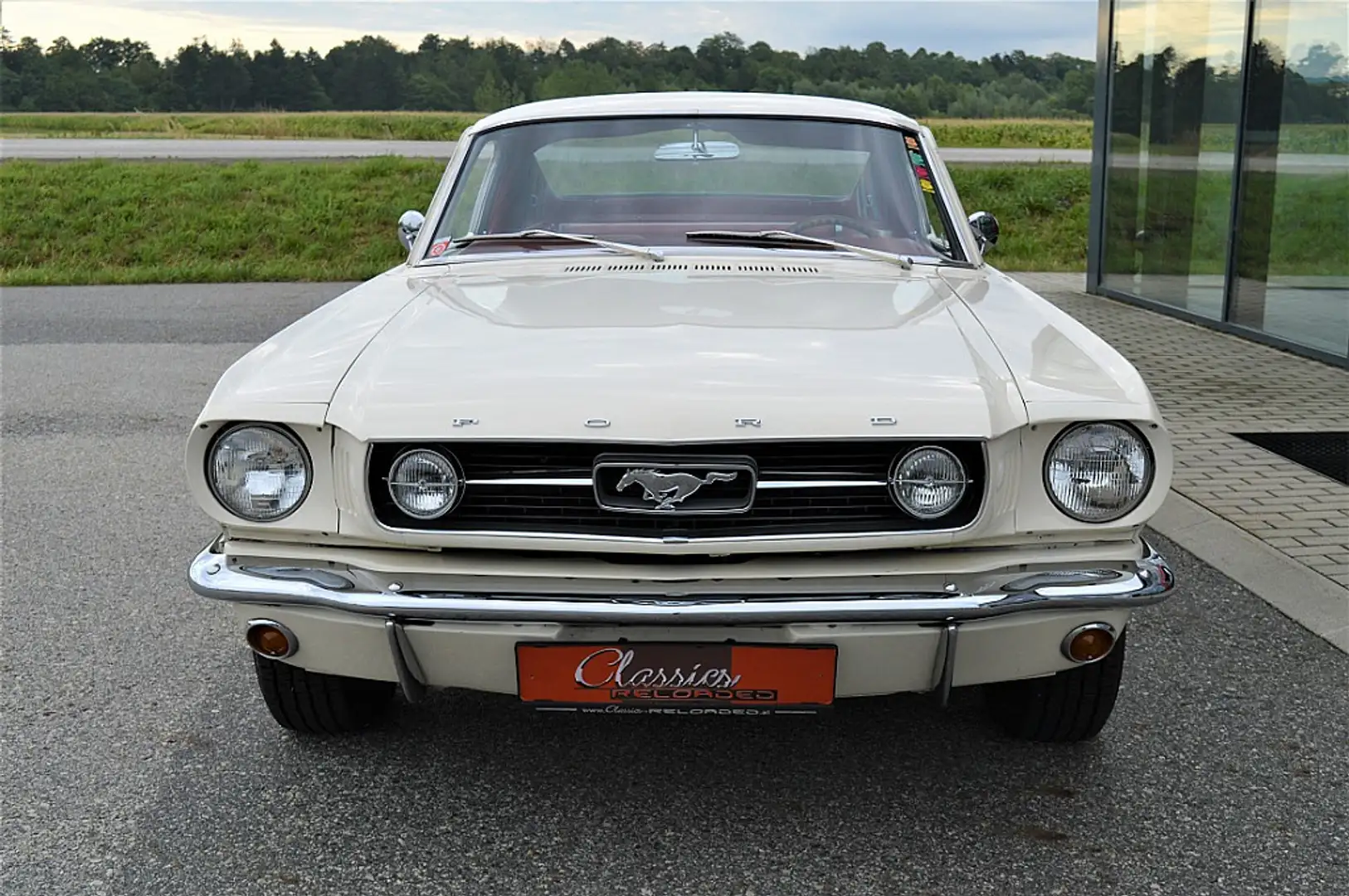 Ford Mustang Fastback V8 289 Weiß - 2