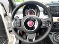 Fiat 500C MY23 Klima*Navi*Tempomat*CarPlay*Allwetter Weiß - thumbnail 10