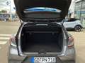 Renault Captur Evolution TCe 100 LPG SHZ EPH Kamera Navi LED Grigio - thumbnail 9