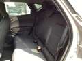 Renault Captur Evolution TCe 100 LPG SHZ EPH Kamera Navi LED Grigio - thumbnail 12