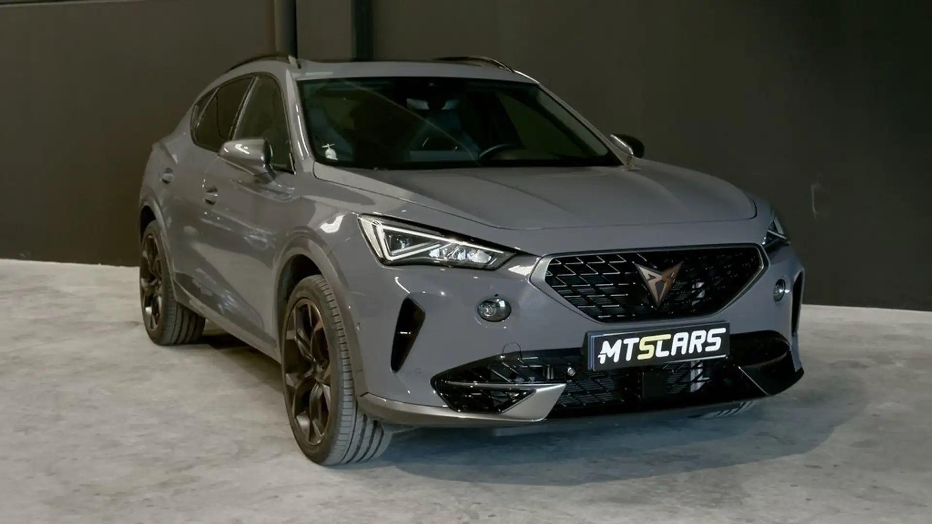 CUPRA Formentor 2.0 TSI 228kW (310 CV) VZ 4Drive DSG Gris - 2