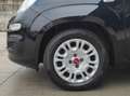 Fiat Panda Panda 1.0 firefly hybrid s&s 70cv 5 posti* PROMO Schwarz - thumbnail 15
