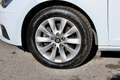 SEAT Leon 1.6 TDI 115 CV DSG ST Business Bianco - thumbnail 7