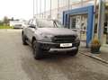 Ford Ranger Doppelkabine Raptor e-4WD 2,0 EcoBlue Aut. Argent - thumbnail 3