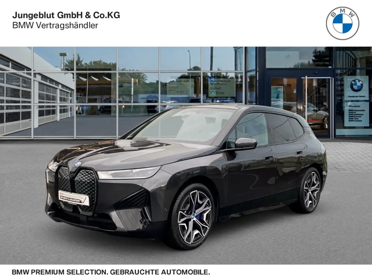 BMW iX xDrive40 Glasdach/AHK/HarmanKardon/LiveCockpitPro Gris - 1