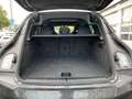 BMW iX xDrive40 Glasdach/AHK/HarmanKardon/LiveCockpitPro Gris - thumbnail 13