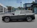 BMW iX xDrive40 Glasdach/AHK/HarmanKardon/LiveCockpitPro Gris - thumbnail 2