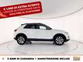 Volkswagen T-Roc 1.0 tsi style 110cv Bianco - thumbnail 6