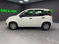Fiat Panda Panda III 1.0 firefly hybrid s Weiß - thumbnail 4