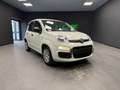 Fiat Panda Panda III 1.0 firefly hybrid s Weiß - thumbnail 1