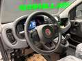 Fiat Panda Panda III 1.0 firefly hybrid s Weiß - thumbnail 9