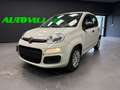 Fiat Panda Panda III 1.0 firefly hybrid s Weiß - thumbnail 3