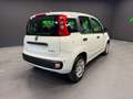 Fiat Panda Panda III 1.0 firefly hybrid s Weiß - thumbnail 6