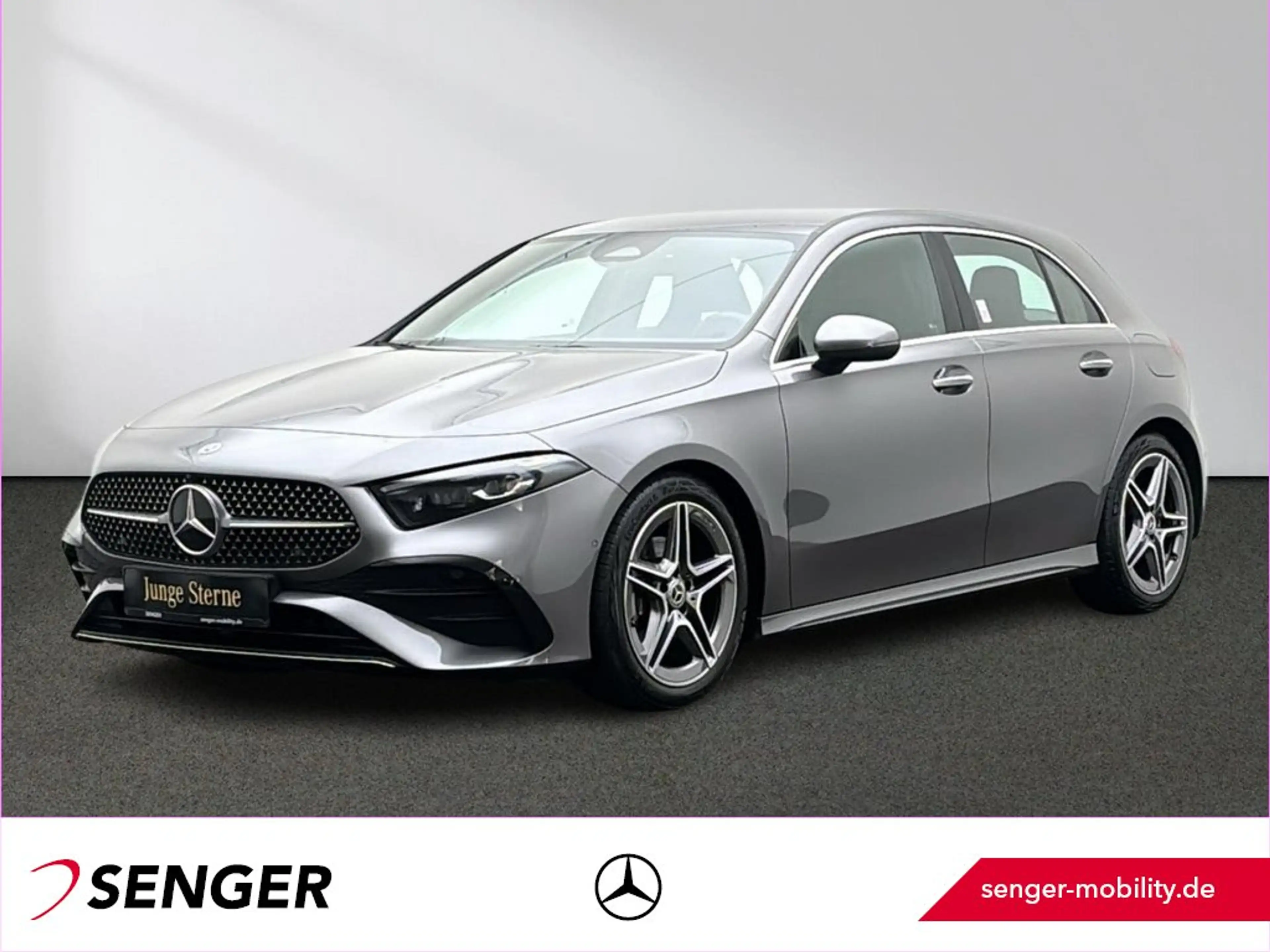 Mercedes-Benz A 200 AMG Multibeam Distronic Kamera Keyless-Go