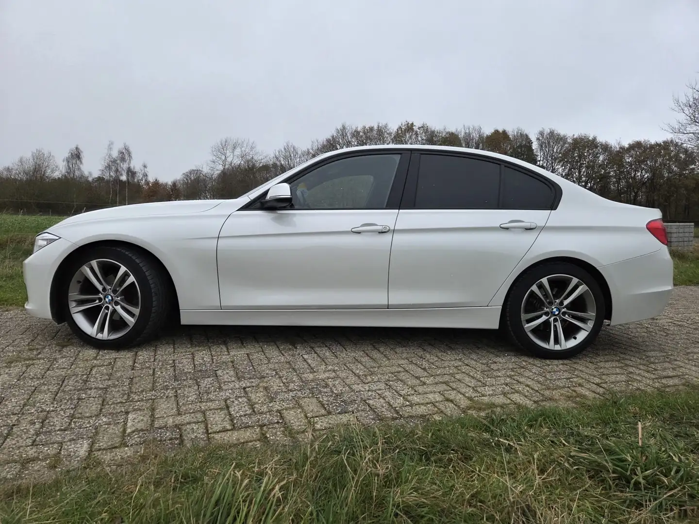 BMW 320 320 EDE High Exec Wit - 2