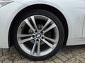 BMW 320 320 EDE High Exec Wit - thumbnail 9